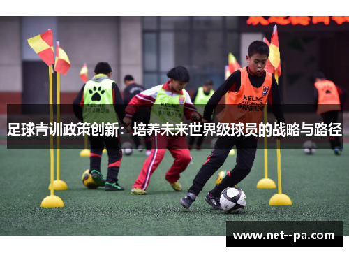 足球青训政策创新：培养未来世界级球员的战略与路径