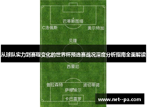 从球队实力到赛程变化的世界杯预选赛战况深度分析指南全面解读 从球队实力到赛程变化的世界杯预选赛战况深度分析指南全面解读