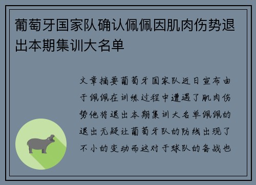 葡萄牙国家队确认佩佩因肌肉伤势退出本期集训大名单