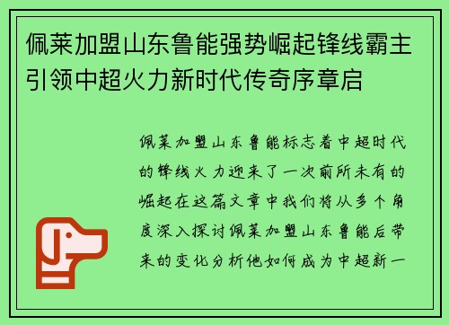 佩莱加盟山东鲁能强势崛起锋线霸主引领中超火力新时代传奇序章启
