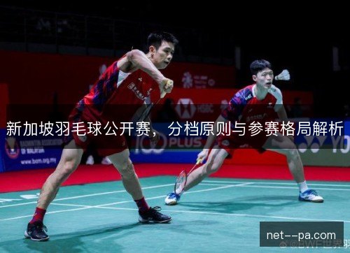 新加坡羽毛球公开赛，分档原则与参赛格局解析